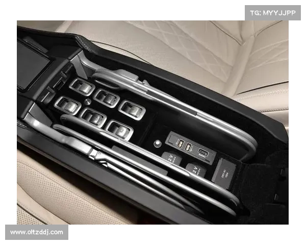 《震震有词》几十元开“奔驰”共享汽车悄然上路